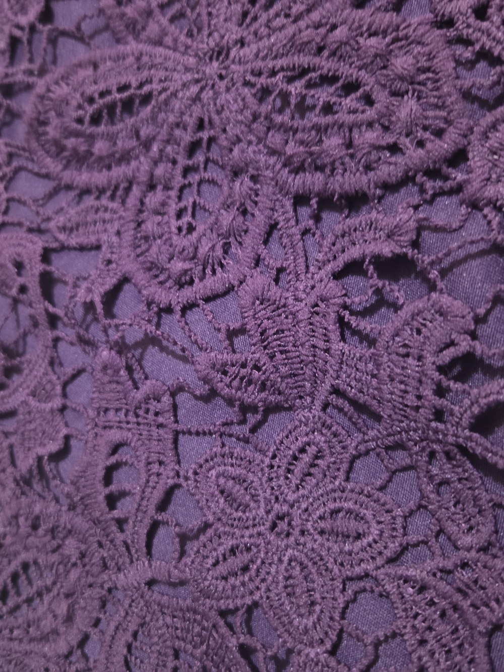 Simply Emma Purple Lace Detail Skirt